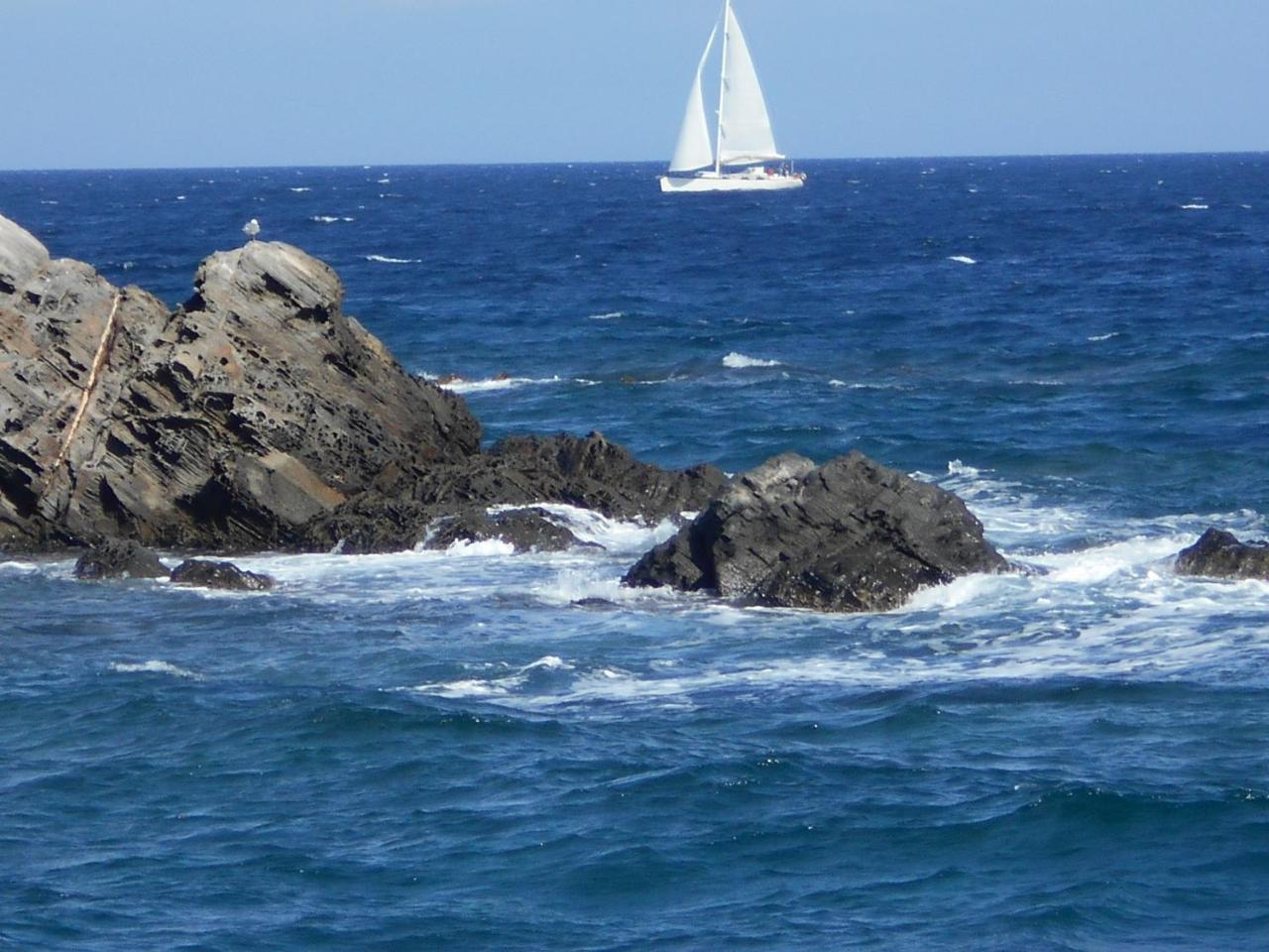 Le Case Punta Negra Stintino Buitenkant foto